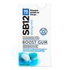 SB12 Boost Tuggummi (stark mint) - 10 st