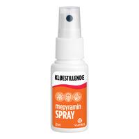 Mepyramin Spray 2% (Medic) - 25 ml