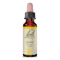 Bach Ärttörne (Gorse) - 10 ml