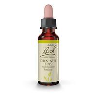 Bach Kastanjknopp (Chestnut Bud) - 10 ml