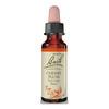 Bach Cherry Plum - 10 ml