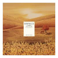 SKIN1004 Madagascar Centella Autumn Special Edition - 1 st