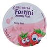 Fortini Creamy Fruit - Flera smaker - 4 x 100 g - Bär frukt