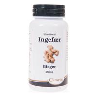 Camette Ingefära - 140 tabletter