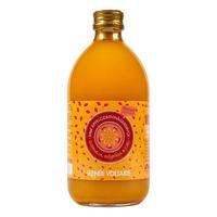 Äppelcidervinäger med Ingefära, Gurkemeja och Chili Raw eko - 500 ml