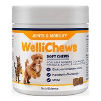 Swedencare Wellichews Joint tuggtabletter hund och katt, S - 120 st