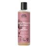 Urtekram Soft Wild Rose Colour Preserve Shampoo - 250 ml