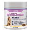 Swedencare Wellichews Calm tuggtabletter hund, M/L - 60 st