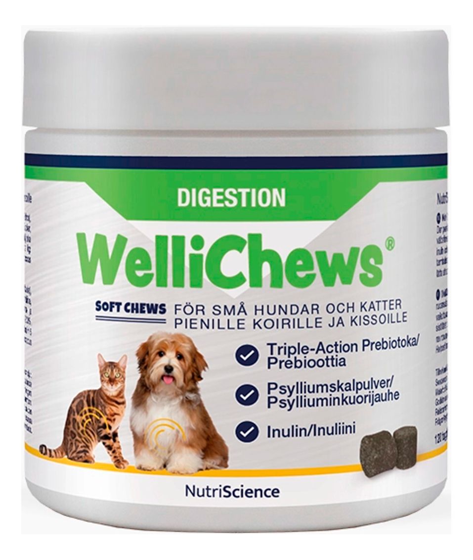 Wellichews Digestion tuggtabletter hund och katt, S - 120 st