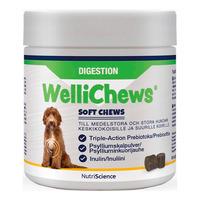 Swedencare Wellichews Digestion tuggtabeletter hund, M/L - 60 st