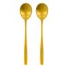 Nicolas Vahé Spoons, NVDaily, Antique gold finish - 2 st