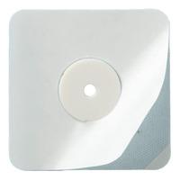 Bacxitium Aktiv Plåster för Hund & Katt - 1 st