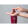Daeng Gi Meo Ri Shampoo for Oily scalp - 500 ml