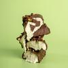 Wispy Protein Bar Dark Choco Pistachio - 55 g