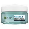 Garnier Hyaluron Barrier Repair Night Gel Cream - 50 ml