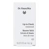 Dr. Hauschka Lip To Cheek 03 Rosewood - 6,1 g