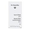 Dr. Hauschka Lip To Cheek 04 Gold - 6,1 g