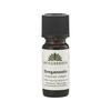 Urtegaarden Oreganoolja - 10 ml