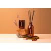 Compagnie de Provence Liquid Marseille Soap Anise Lavender - 495 ml