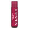 Burt's Bees Tinted Lip Balm - Daisy - 4,25 g