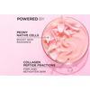 L'Oréal Paris Age Perfect Golden Age Rosy Day Cream - 50 ml