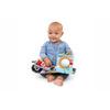 Baby Einstein Counting at the Farm Mjuk Aktivitetsbok