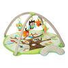 Skip Hop Treetop Friends Babygym - Classic