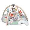 Skip Hop Treetop Friends Babygym - Pastell