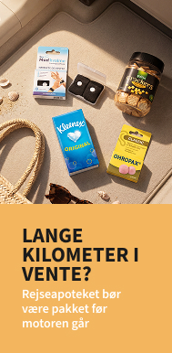 Bilsemester