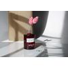 Algologie Energy plus Precious Oil Intensive Revitalisation  - 30 ml