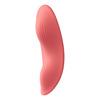 Sinful Panty Vibrator With Remote Control