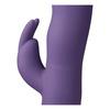 Sinful Rabbit Vibrator