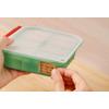 Haakaa Easy-Freeze Tray - 8 Compartments - Green