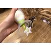 Haakaa Silicone Breast Pump Flower Stopper - White