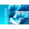 L'Oréal Men Expert Fresh Extreme Deo Roll-On - 50 ml