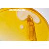 Grown Alchemist Skin Renewal Facial Oil - 25 ml