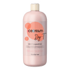 Inebrya Ice Cream Dry-T Shampoo - 1000 ml