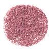 NYX Professional Makeup Face & Body Glitter Brillants – 02 Rose – 2,5 g