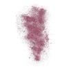 NYX Professional Makeup Face & Body Glitter Brillants – 02 Rose – 2,5 g