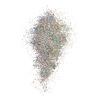 NYX Professional Makeup Face & Body Glitter Brillants – 06 Crystal – 2,5 g