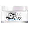 L'Oréal Paris Collagen Expert Age Delay Cream – 50 ml