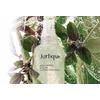 Jurlique Holy Basil & Aloe Hydrating Mist - 100 ml