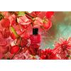 HaruHaru Wonder Rose PDRN Soothing Serum – 30 ml.