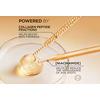 L'Oréal Paris Age Perfect Classic Micro-Collagen Peptide Serum - 30 ml