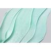 Anua PDRN Hyaluronic Acid Moisturizing Cleansing Foam - 150 ml