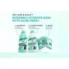 Garnier Fructis Hair Food Aloe Vera Shampoo - 350 ml